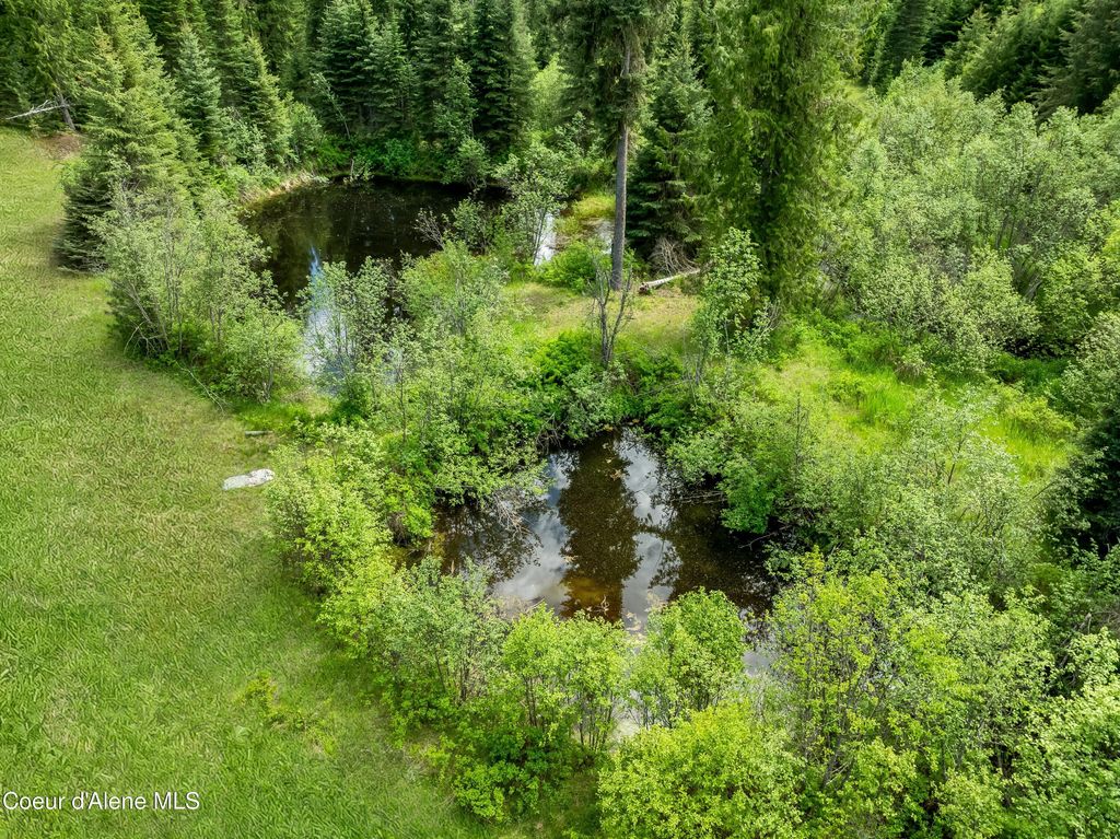 435 Shady Pines Loop, Priest Lake, ID 83856 photo 8
