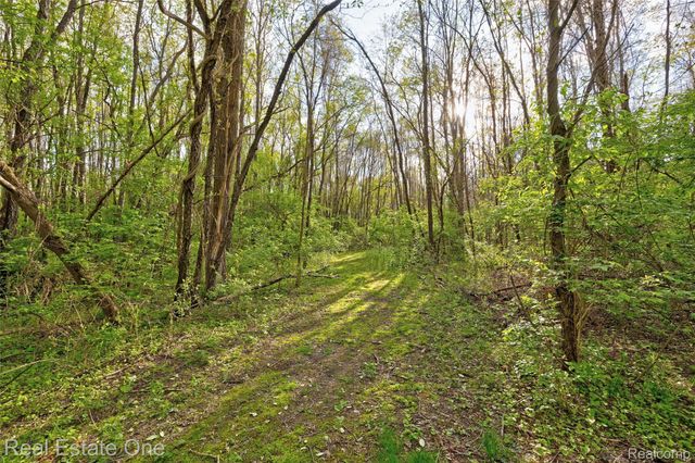 5370 Greenview Drive, Independence Charter Township, MI 48348