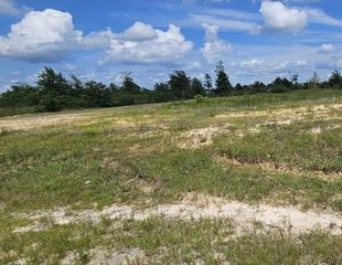 10121 Road 5839, Cleveland, TX 77327