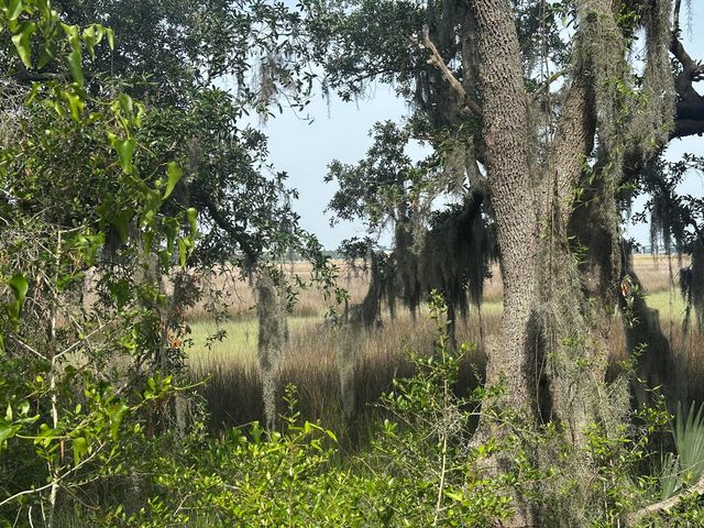 2342 Parsonage Road, Charleston, SC 29414