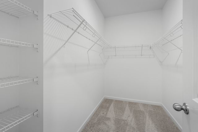 229 Idle Drive, Shelbyville, TN 37160