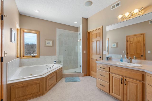 25655 Deepwoods Court, Rogers, MN 55374