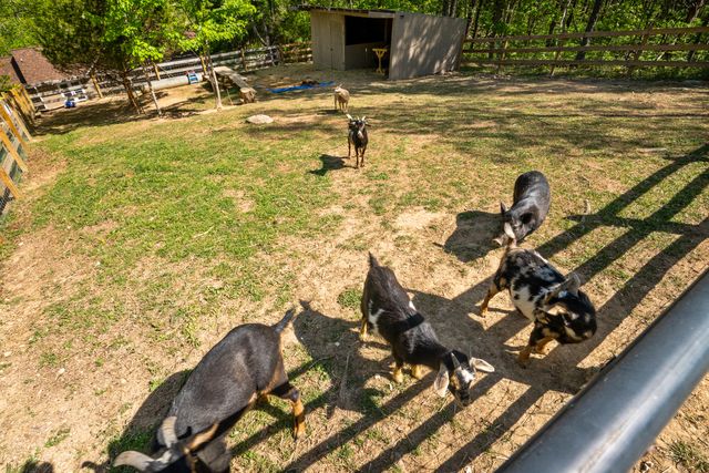 12639 Catawba RD, Troutville, VA 24175