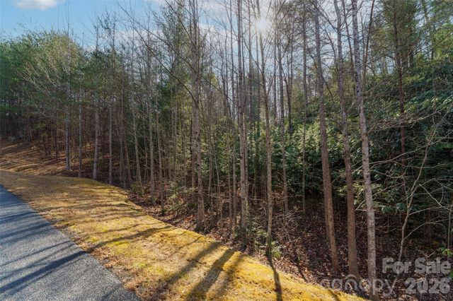 265 Harborside Drive 250, Nebo, NC 28761