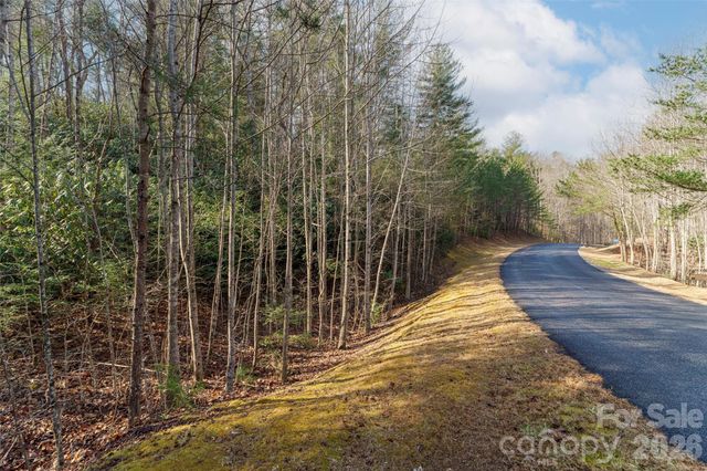 265 Harborside Drive 250, Nebo, NC 28761