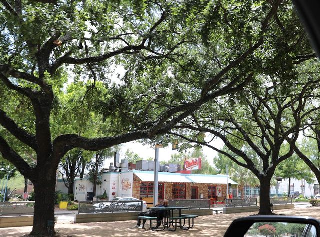 305 Everton Street, Houston, TX 77003
