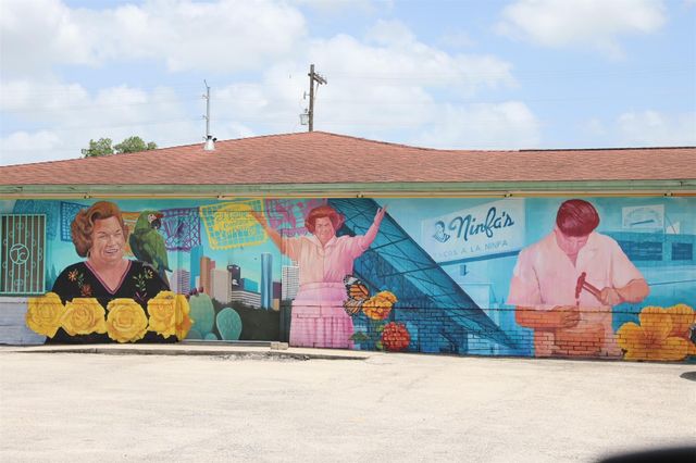 305 Everton Street, Houston, TX 77003