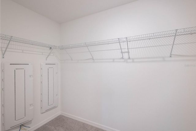 17534 SHIREWOOD WAY, Land O Lakes, FL 34638