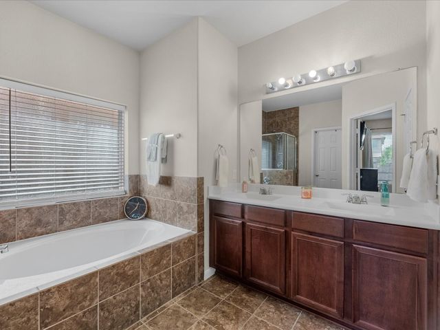 21554 Rainfall Park Drive, Spring, TX 77388