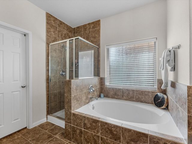 21554 Rainfall Park Drive, Spring, TX 77388