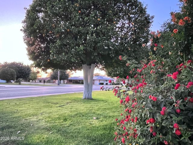 9718 W OAK RIDGE Drive, Sun City, AZ 85351