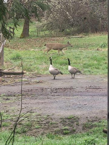 200 Humberd Lane, Grants Pass, OR 97527