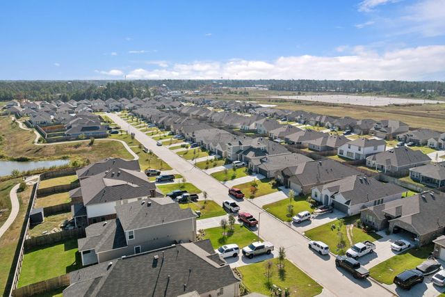 22551 Pagoda Dogwood Branch Drive, New Caney, TX 77357