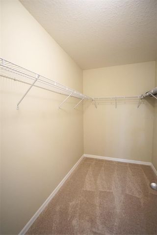 13107 CANOPY CREEK DRIVE, Tampa, FL 33625