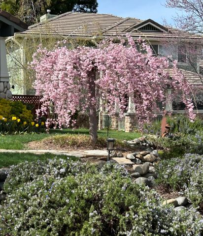 1120 Barrington Circle, Ashland, OR 97520