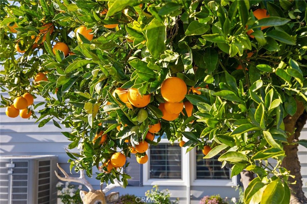 Image 7 of property listing at 40848 Laredo, Cherry Valley, CA 92223