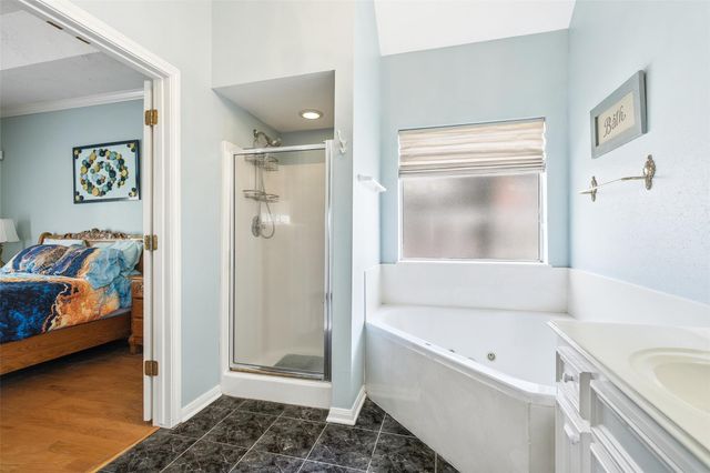 21719 Long Castle Drive, Spring, TX 77388