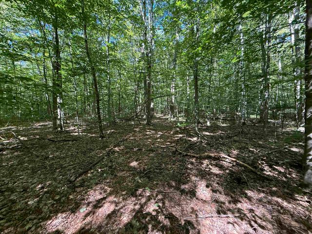 215 & 221 VT Route 30, Dorset, VT 05251