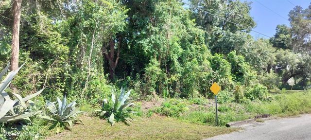 1980 S TSALA TERRACE, Inverness, FL 34450