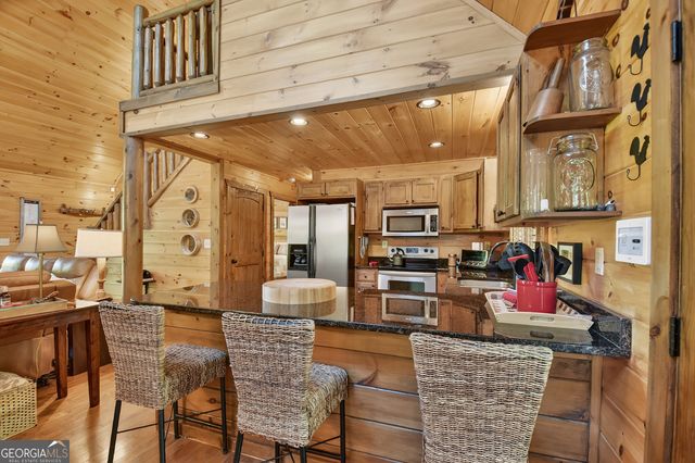 34 Dallas Lane, Blue Ridge, GA 30513