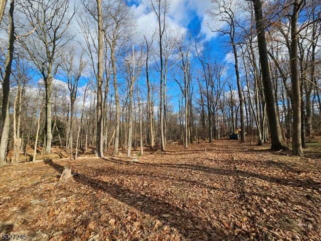 34 Starlight Dr, Morris Twp., NJ 07960