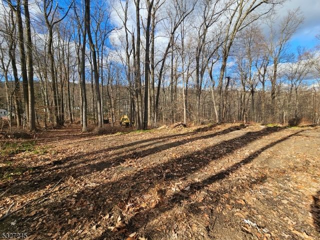 34 Starlight Dr, Morris Twp., NJ 07960