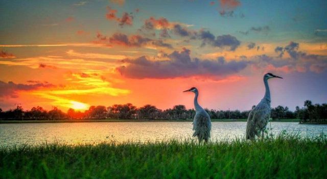 2177 SE Destin Drive, Port St. Lucie, Port St Lucie, FL 34952