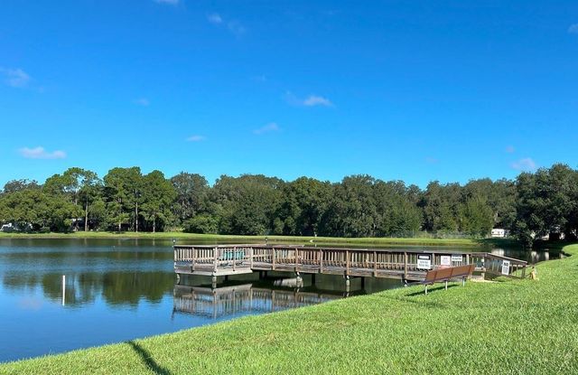 3135 GREAT OAK STREET, Wesley Chapel, FL 33543