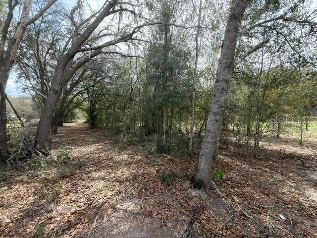 8330 NE 113TH LANE, Bronson, FL 32621