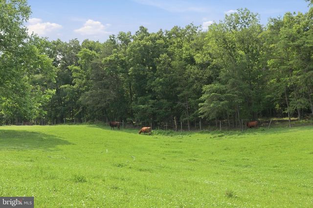 1201 PILGRIMS WAY, Bentonville, VA 22610