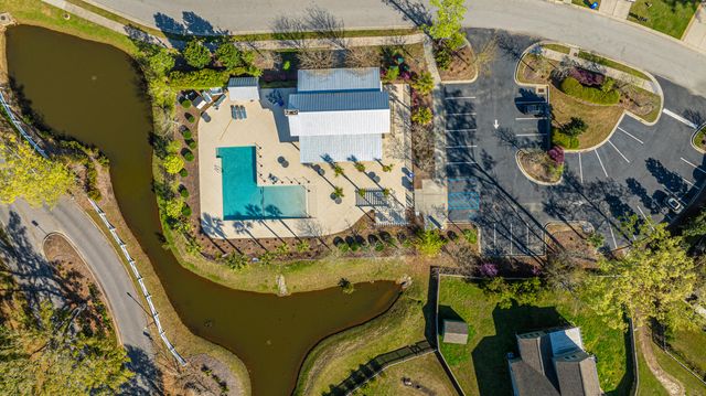 3825 Tupelo Branch Row, Mount Pleasant, SC 29429