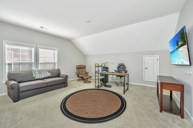 3825 Tupelo Branch Row, Mount Pleasant, SC 29429