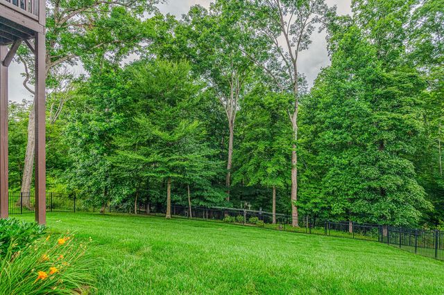 3767 Lacy Leaf Lane, Apison, TN 37302