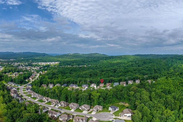 3767 Lacy Leaf Lane, Apison, TN 37302