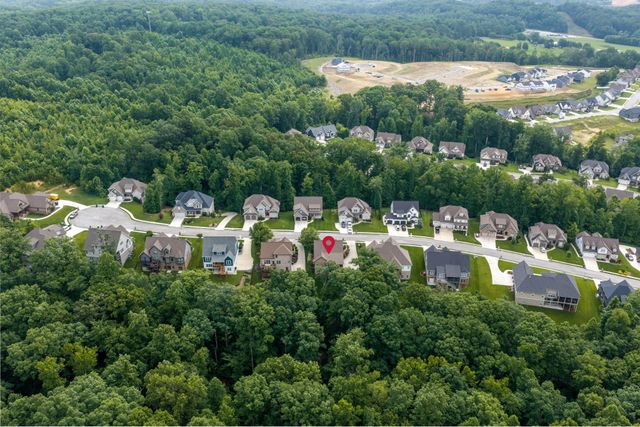 3767 Lacy Leaf Lane, Apison, TN 37302