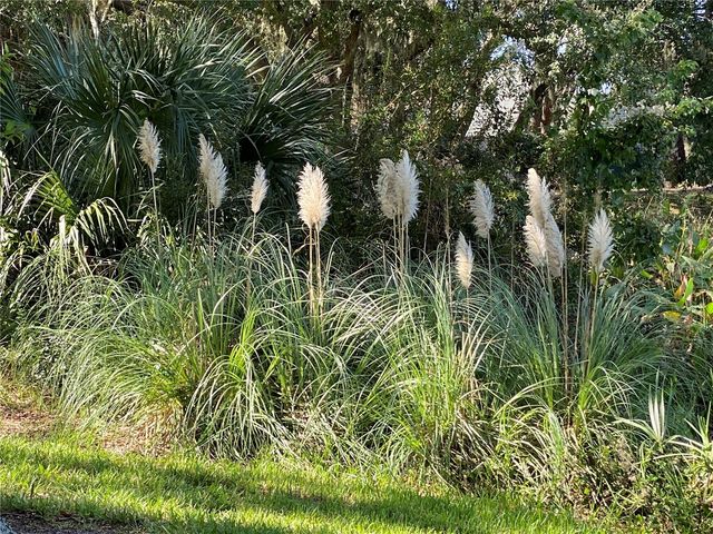 25517 LAUREL VALLEY ROAD, Leesburg, FL 34748