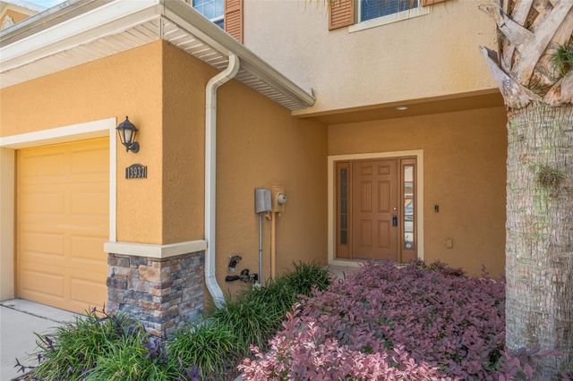 13937 SNAPPER FIN LANE, Tampa, FL 33637