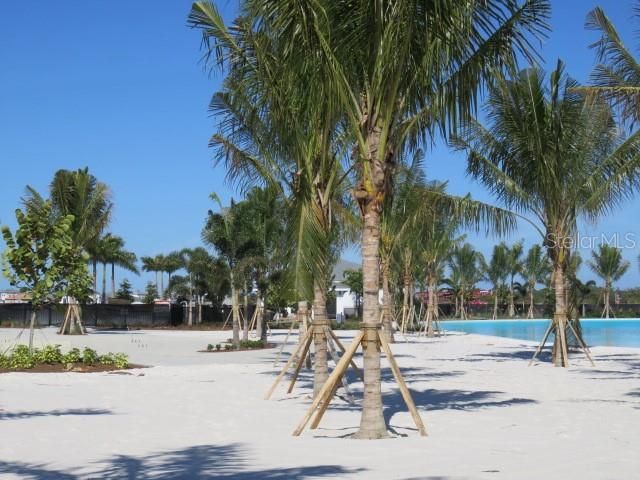 6311 PIGEON PLUM WAY, Bradenton, FL 34210