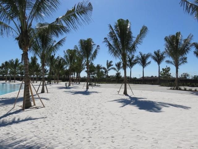 6311 PIGEON PLUM WAY, Bradenton, FL 34210