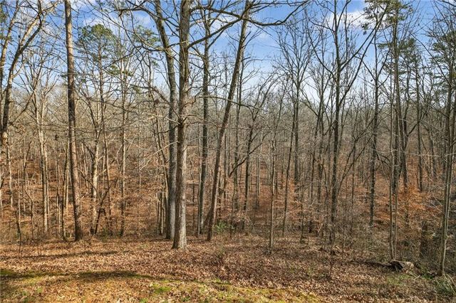 135 Oakland Court, Tallapoosa, GA 30176