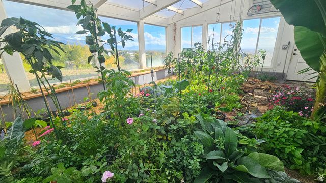 899 E 1190 N, Pleasant Grove, UT 84062