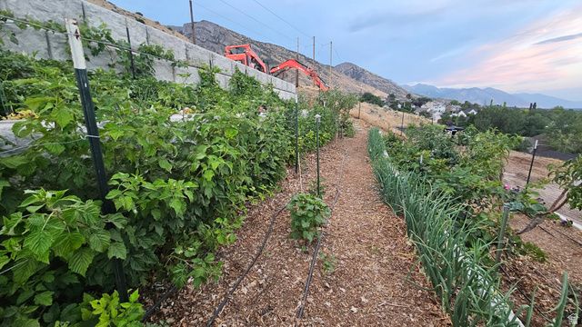 899 E 1190 N, Pleasant Grove, UT 84062