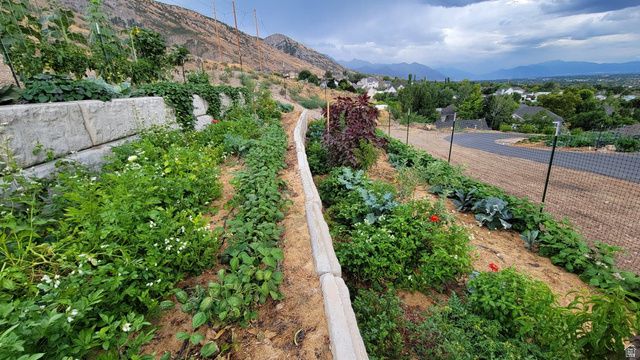 899 E 1190 N, Pleasant Grove, UT 84062