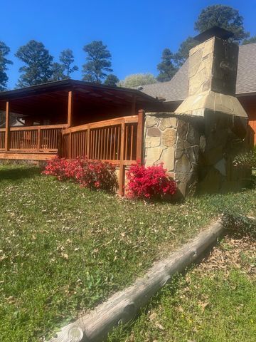 717 private road 6665, Mineola, TX 75773