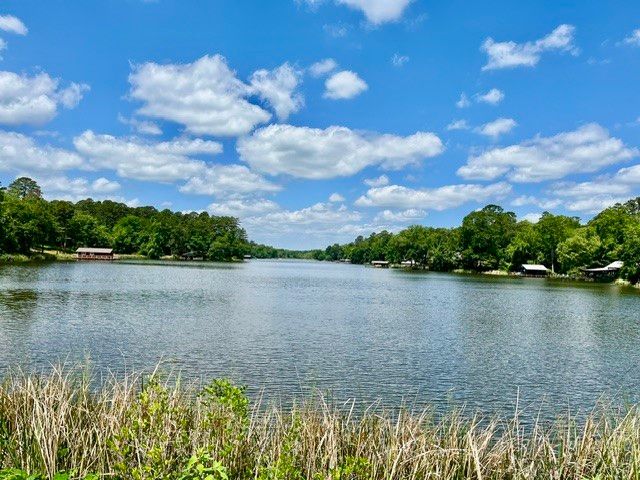 717 private road 6665, Mineola, TX 75773