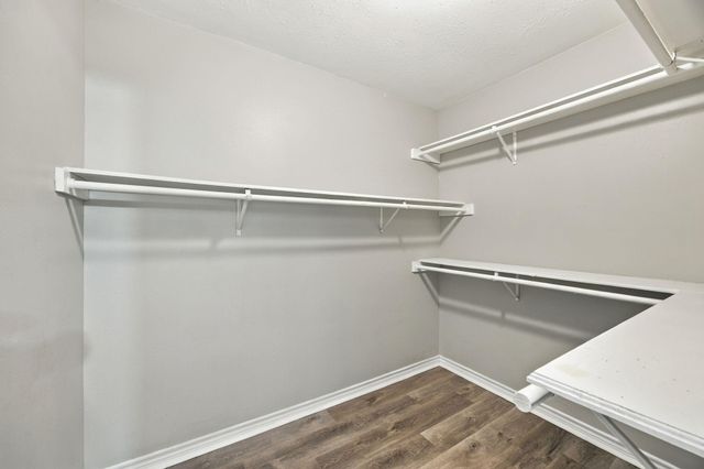 23619 Summer Pine Drive, Spring, TX 77373