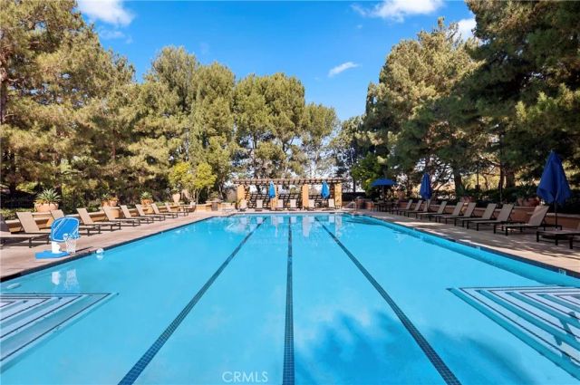 223 Lonetree, Irvine, CA 92603