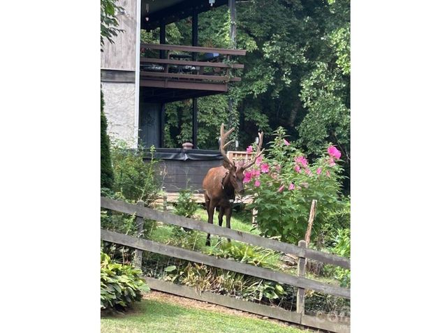 102 Sanctuary Road B, Maggie Valley, NC 28751