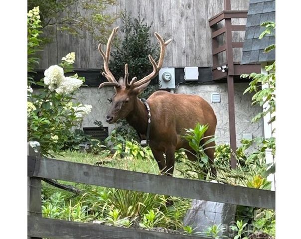 102 Sanctuary Road B, Maggie Valley, NC 28751