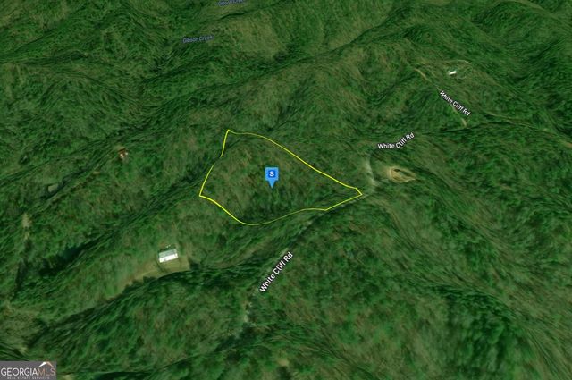 627 Whitecliff Drive, Ellijay, GA 30540